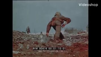 US Marine uses an explosive to blow a Japanese Soldier out of his spider hole. Somewhere in the Pacific. **NSFL**
