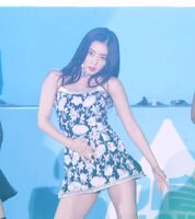 Red Velvet - Irene & Seulgi