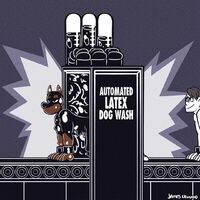 Automatic Latex Dog Wash